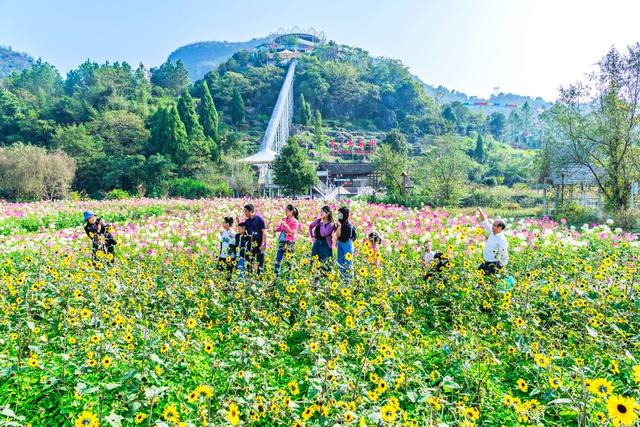 全域旅游  文旅融合  乡村振兴