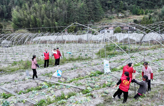 湖南桂东： 抓 晴暖天气 大棚  冬种 欣荣蔬菜