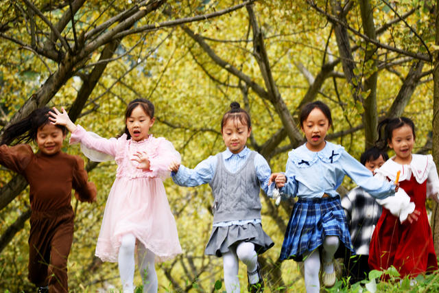 嘉禾：林场银杏黄  美景引客来