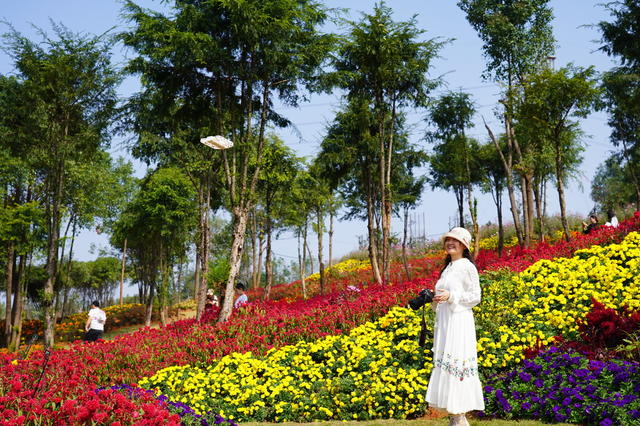 邵东赏花（图）