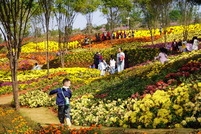 邵东赏花（图）