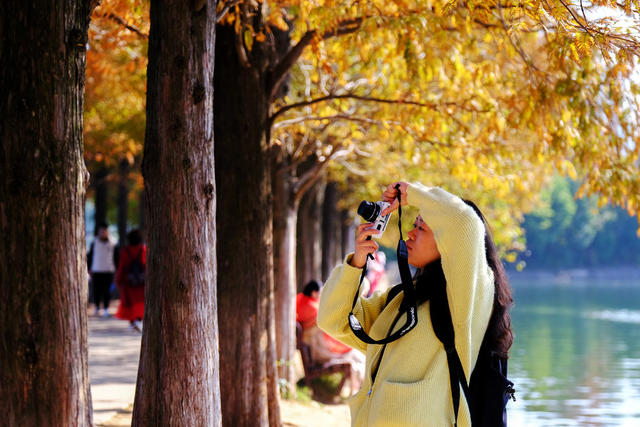 烈士公园游人如织