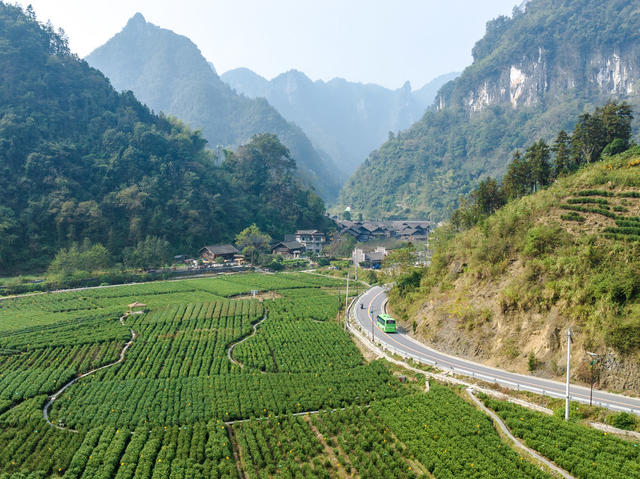X077洽比河旅游公路 四好农村路 城乡公交