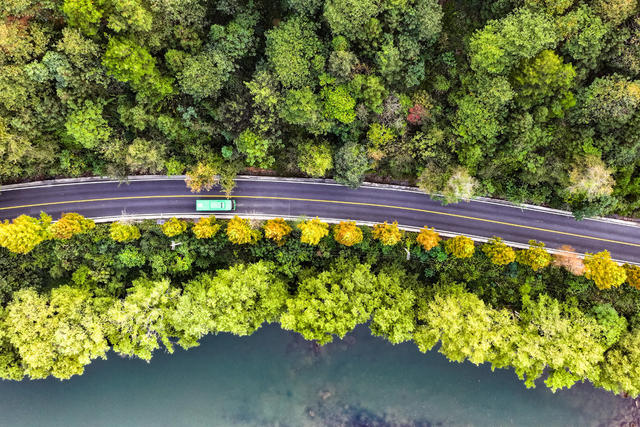 路 公路 四好公路 公交车 秋景