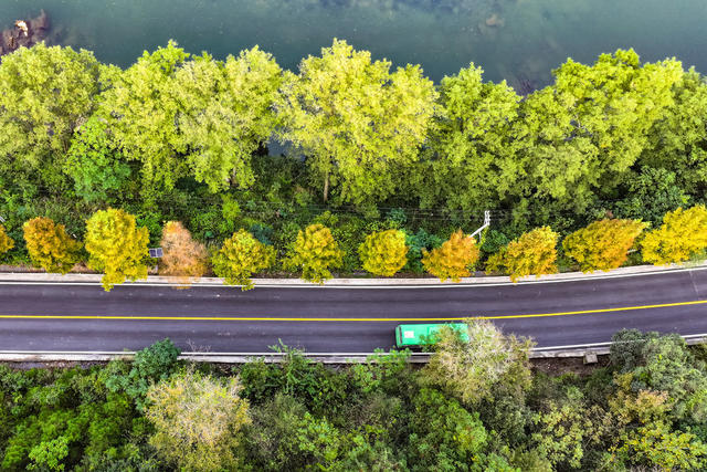 路 公路 四好公路 公交车 秋景