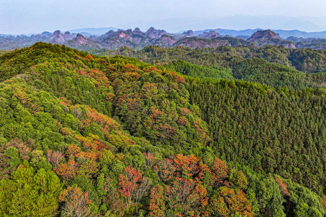 秋 秋景 层林 斑斓 色彩