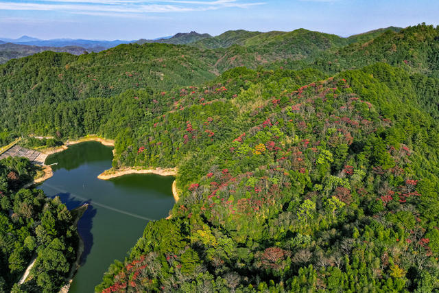 水库 生态 湿地 碧水 彩林 冬至