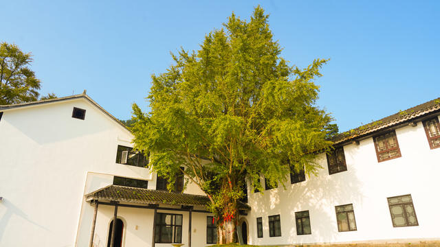 旅游 福严寺 南岳衡山 古寺 秋景