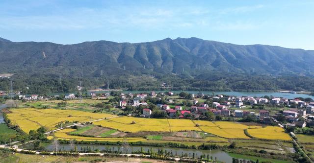 美丽乡村