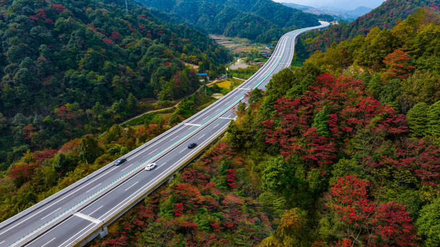 交通  高速公路  芷铜高速 
 风景