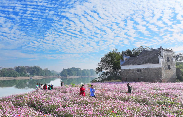 冬日 暖阳 周末 休闲 游玩