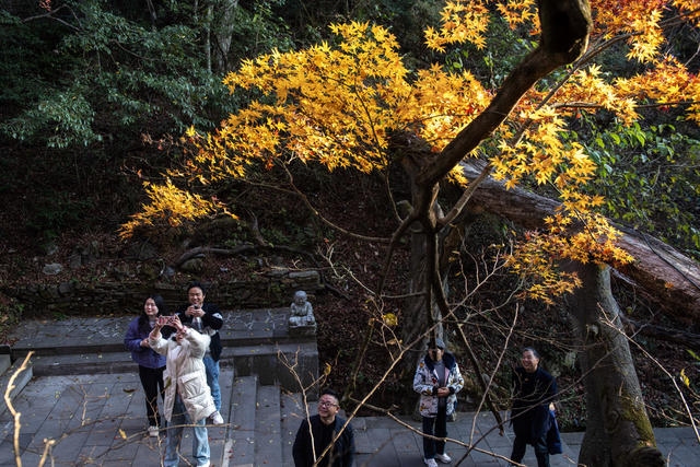 娄底 冬日 游客 观光
