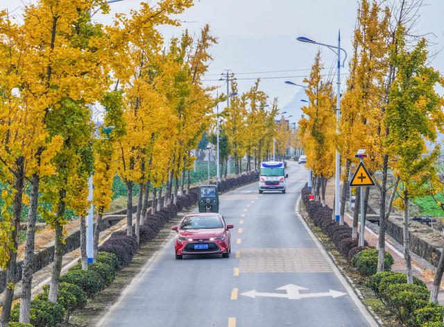 四好农村路
道县
金黄
