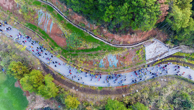 全民健身 亲子活动 体育 健身 健走 户外