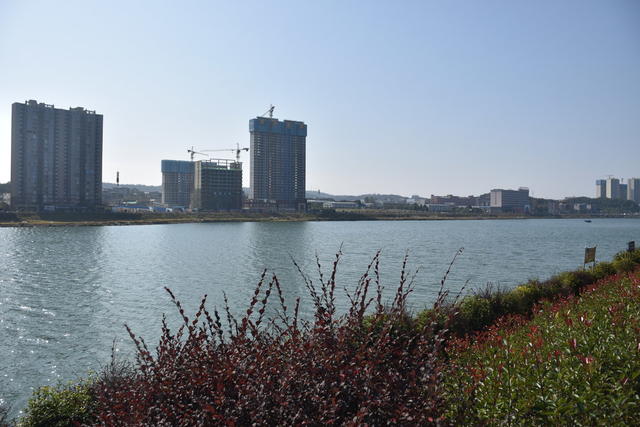 清漂浮保水质