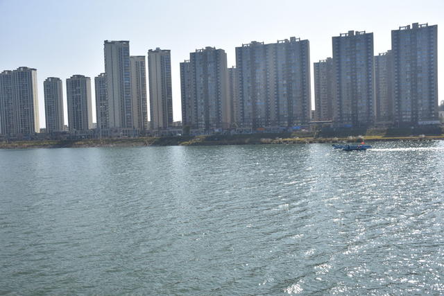 清漂浮保水质