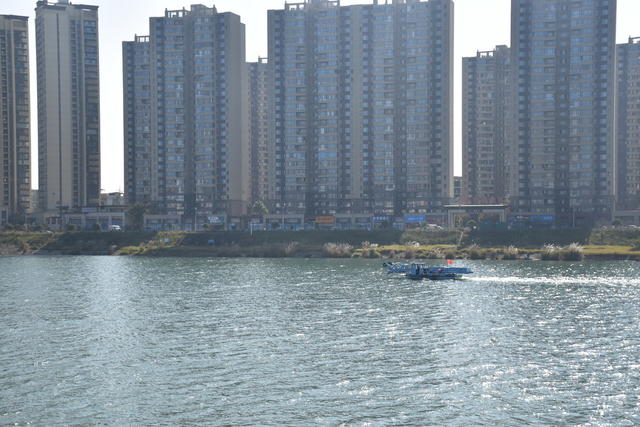 清漂浮保水质