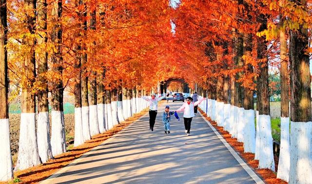 湖南  常宁  乡村  公路  美景