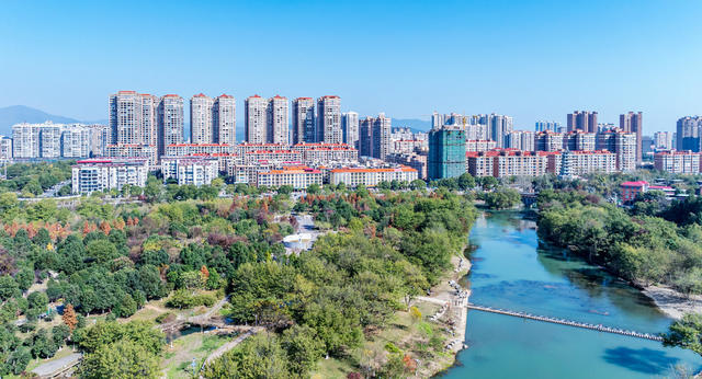 湿地公园  冬景如画