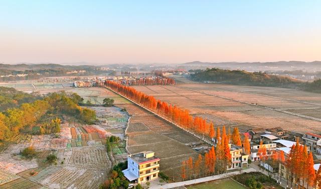 湖南  常宁  乡村  美景