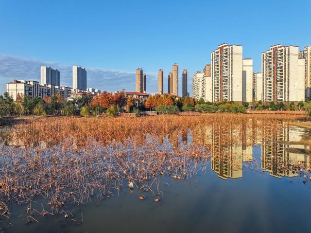 冬景
色采
道县