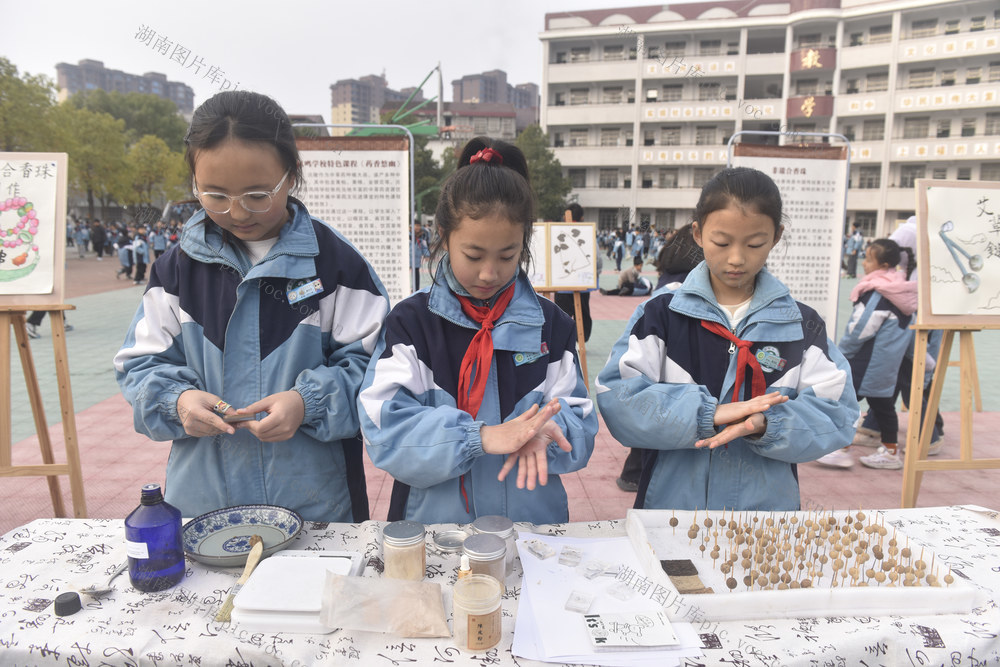 中草药文化  传承   实践能力  文化素养