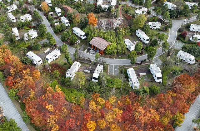 城市公园风光美