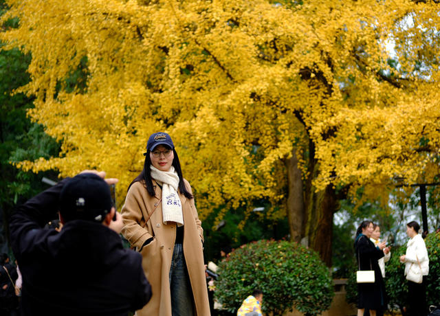 湖南烈士公园，冬日美景  