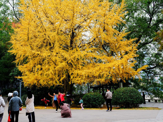 湖南烈士公园，“红军渡”游玩，