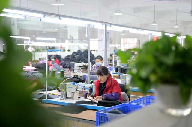 箱包  企业  工业 重点项目  创业