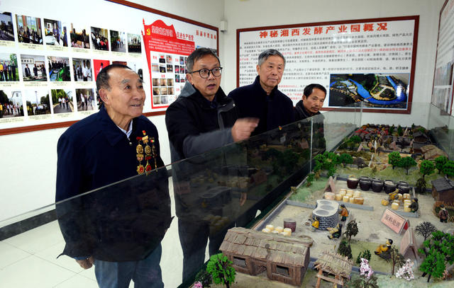 “五老” 迎春 参观 企业  经济