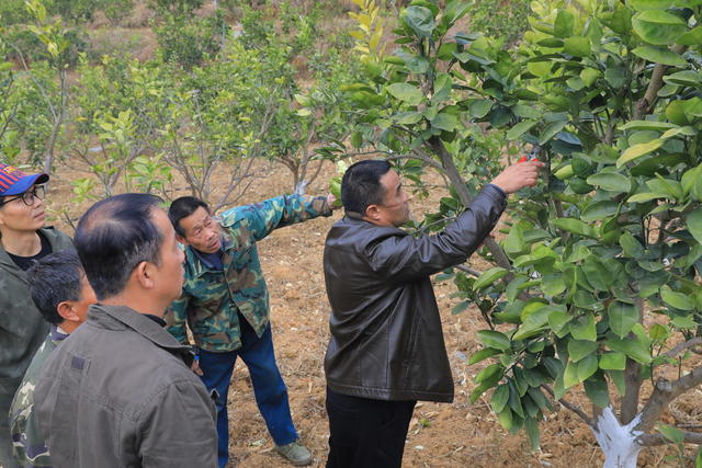 乡村振兴 农业