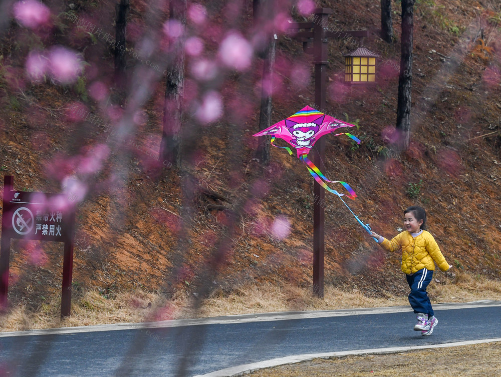 雨水
梅花
宁远