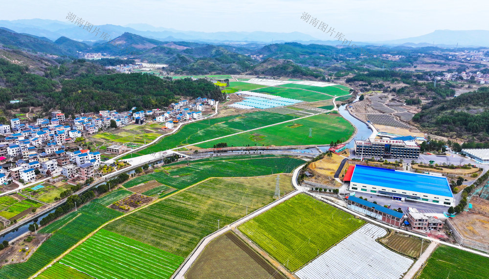 乡村  田园  业兴景美  画卷