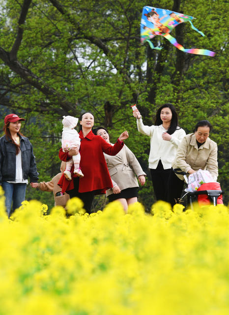 嘉禾：徜徉花海 乐享春光