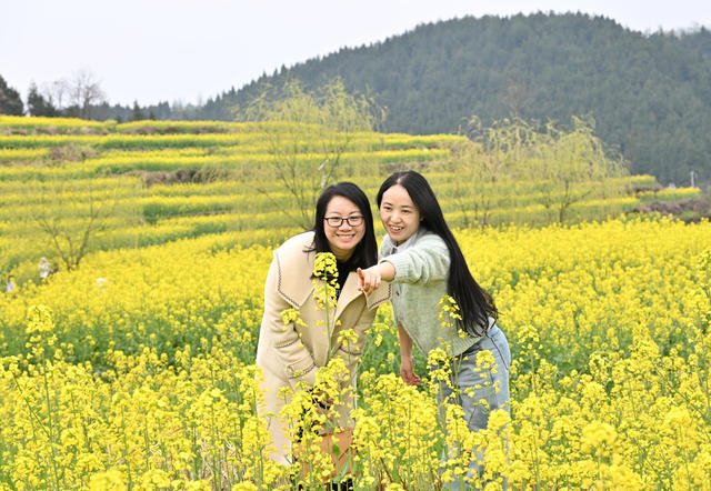 旅游 乡村游 休闲 赏花 油菜花