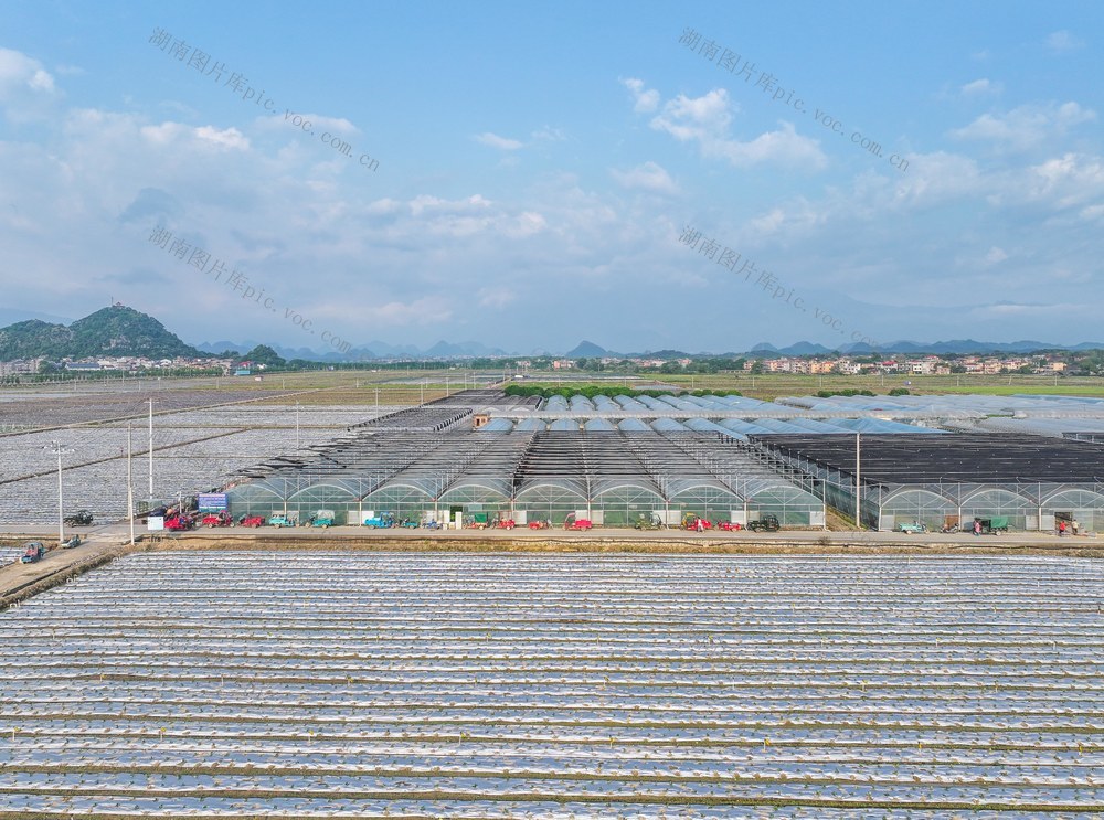 蔬菜基地
田园
道县