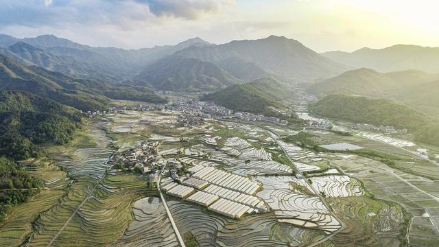 春耕 农业 梯田 粮食安全 种植 耕地 抛秧 春耕生产