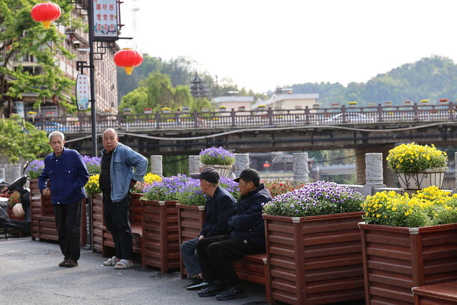 花卉 城市 绿化 口袋花园 花