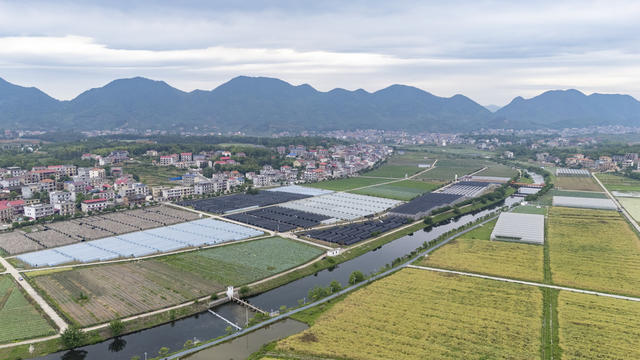 涟源 现代农业  蔬菜基地