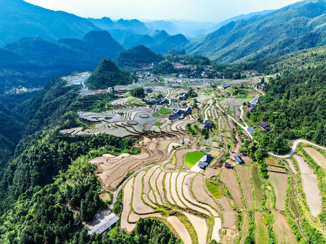 塘家梯田  耕作