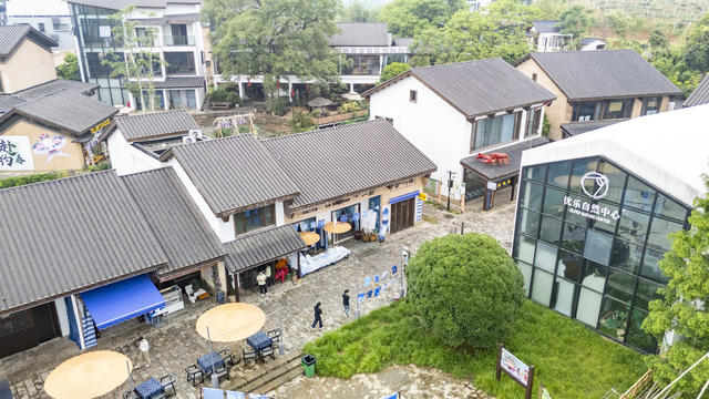 岳阳 农文旅融合 生态优势 产业振兴 多元业态