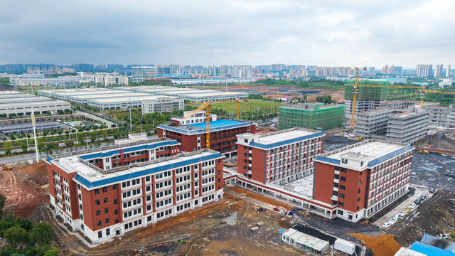 项目建设 学位建设 职业教育