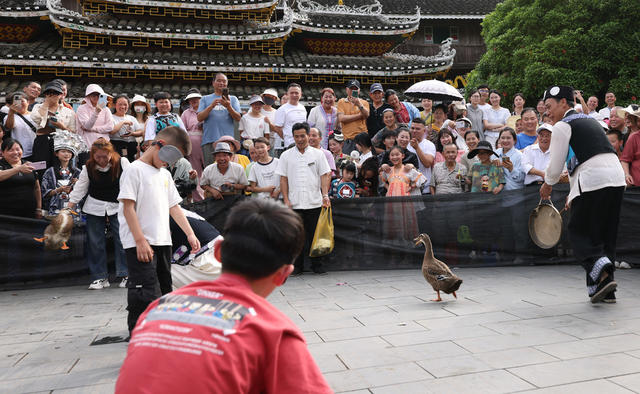 通道县 侗族 