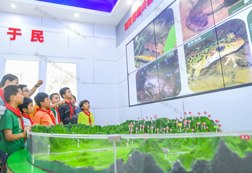 国际生物多样性日
 增强爱护动植物意识
道县