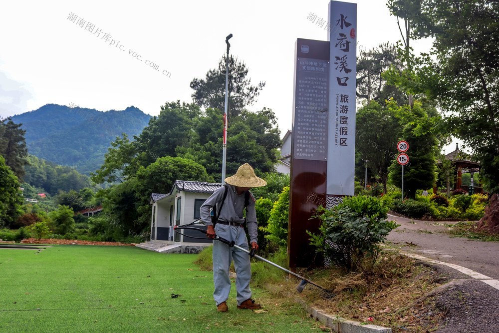 割草  美化环境