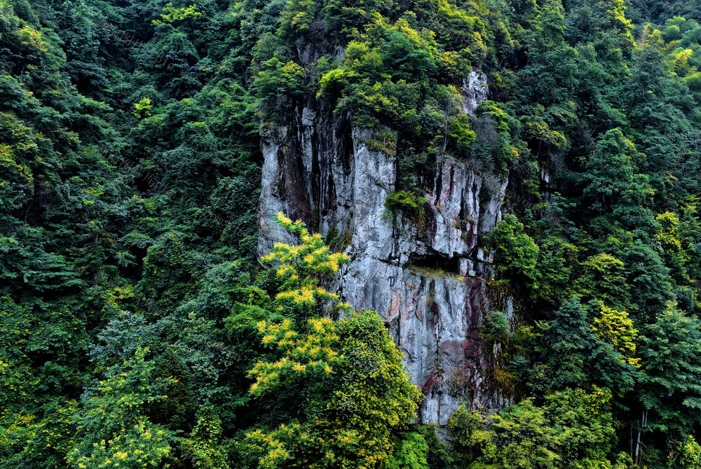 湖南桂东 深山老林 猴岩石