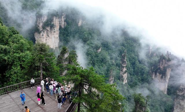 天子山 云雾 峰林