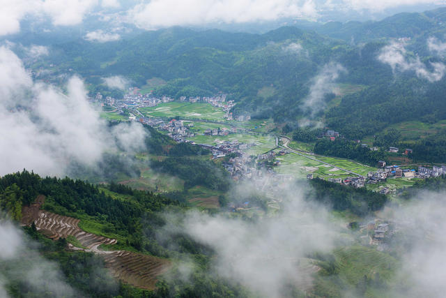 梯田  云雾