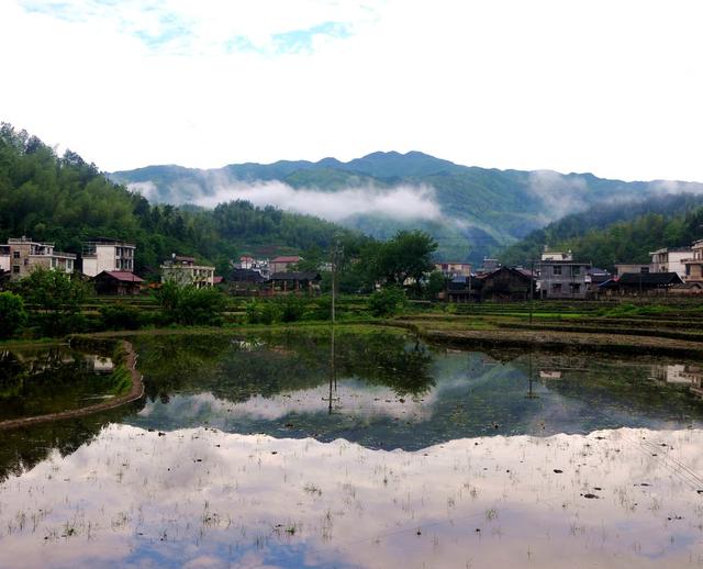 云雾  仙境  衬托